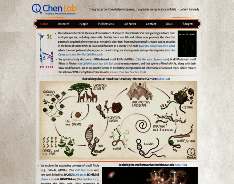 Qichen-lab.info thumbnail