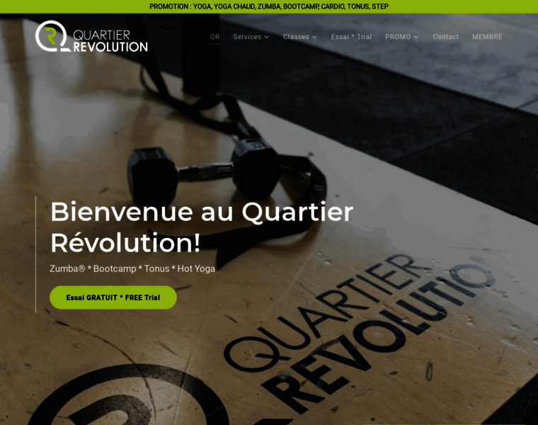 Quartierrevolution.ca thumbnail