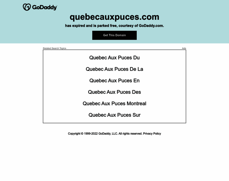 Quebecauxpuces.com thumbnail