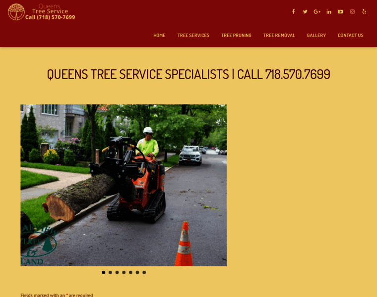 Queensnytreeservice.com thumbnail
