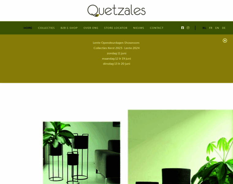 Quetzales.be thumbnail