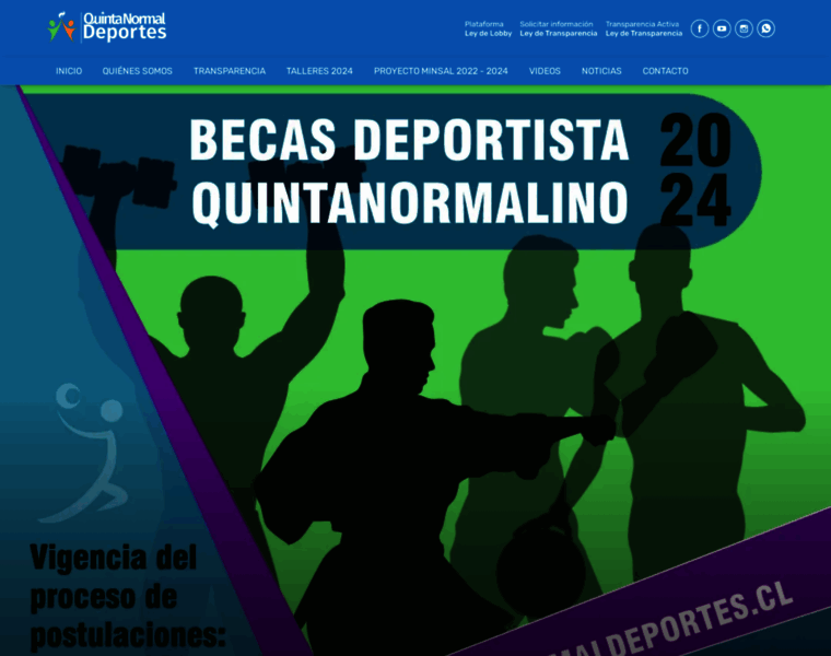 Quintanormaldeportes.cl thumbnail