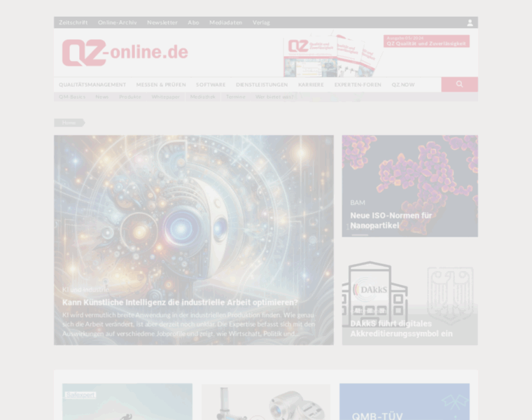 Qz-online.de thumbnail