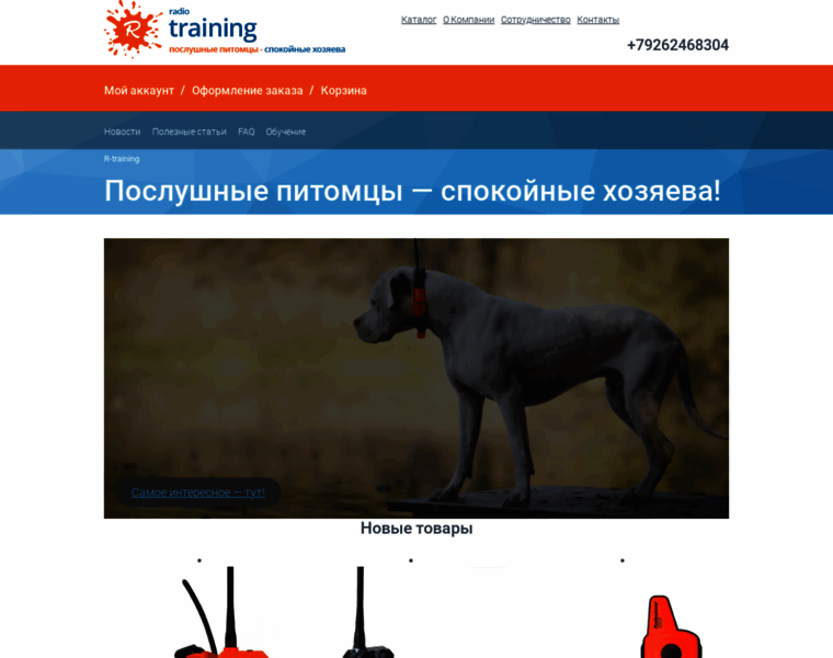R-training.ru thumbnail