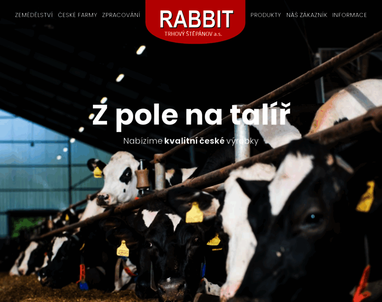 Rabbitcz.cz thumbnail