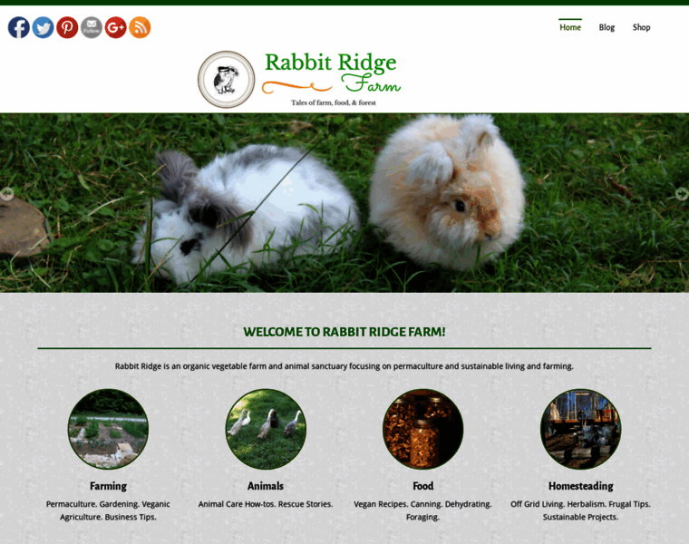 Rabbitridgefarmwv.com thumbnail