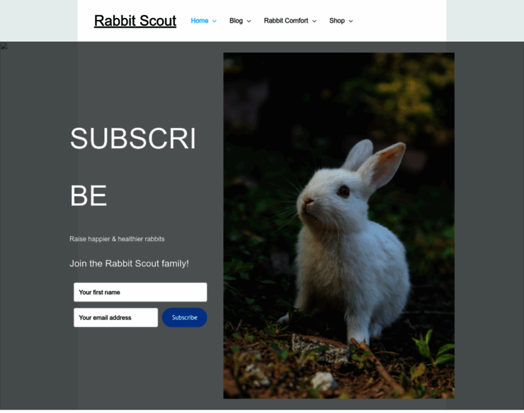 Rabbitscout.com thumbnail