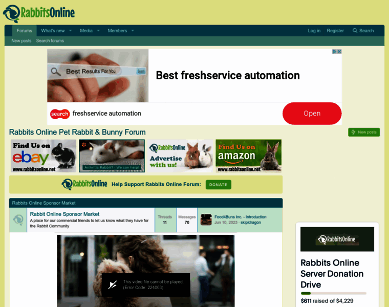 Rabbitsonline.net thumbnail