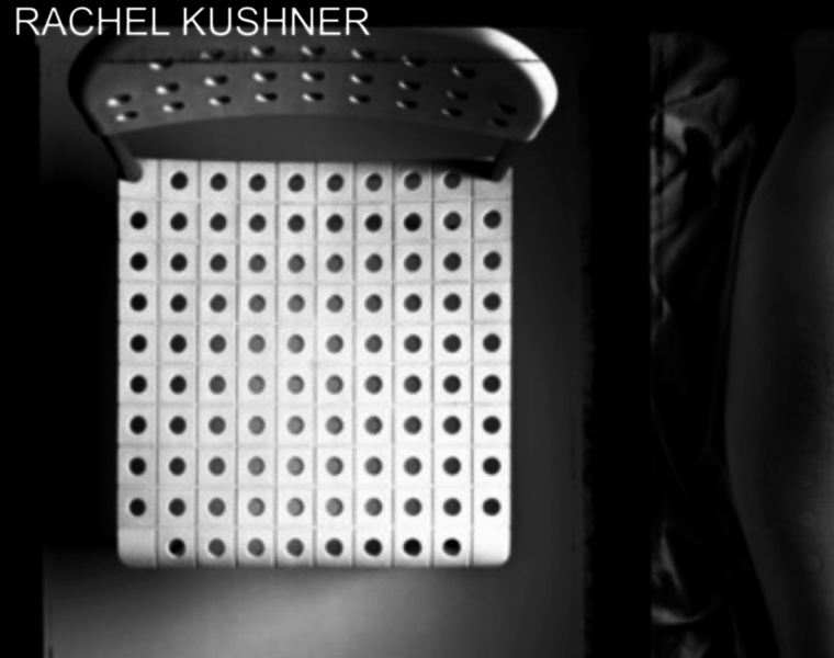 Rachelkushner.com thumbnail