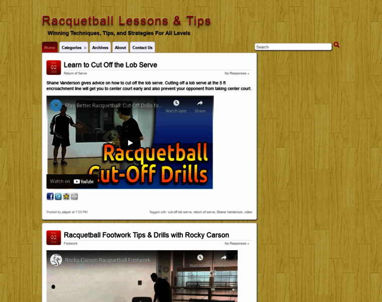 Racquetball-lessons.com thumbnail