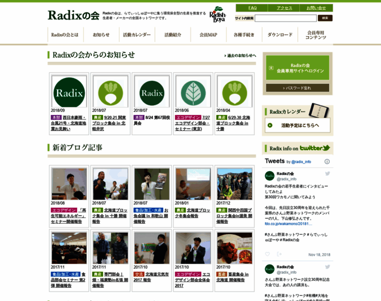 Radix-jp.org thumbnail