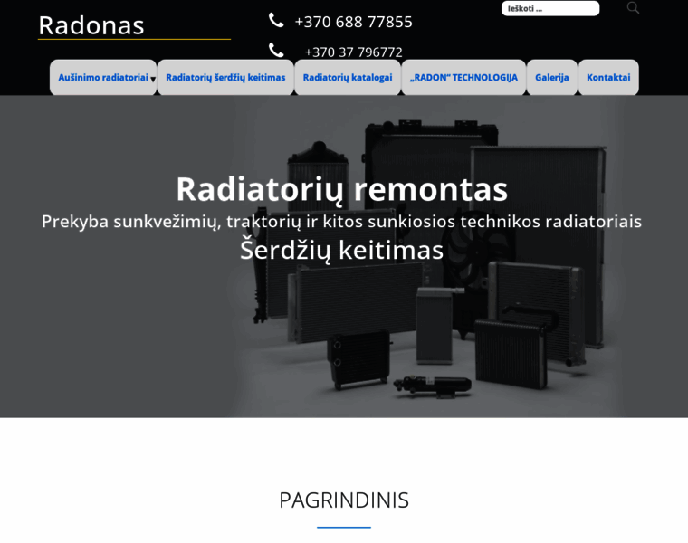 Radonas.lt thumbnail