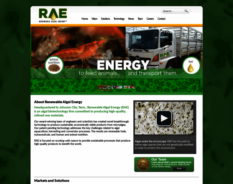 Rae-energy.com thumbnail