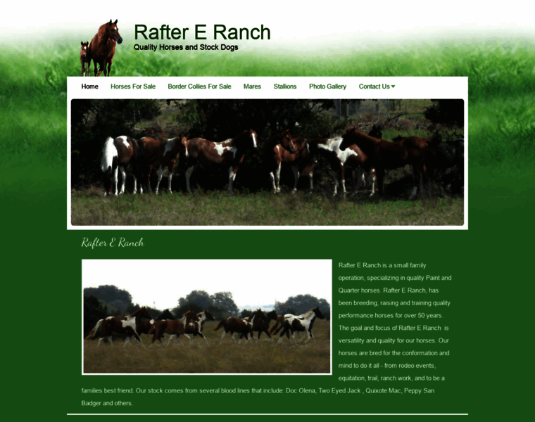 Raftereranchhorses.com thumbnail
