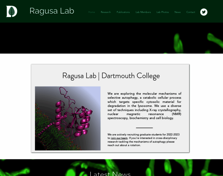 Ragusalab.com thumbnail Ragusalab.com thumbnail