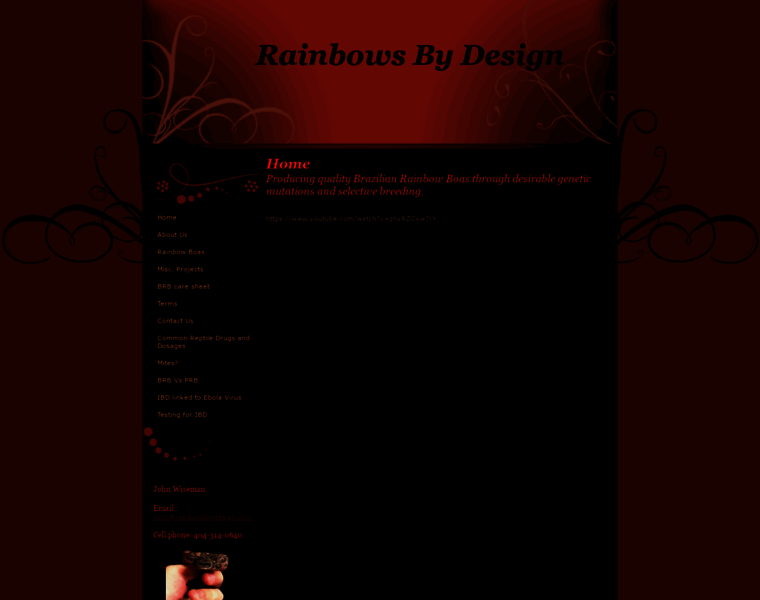 Rainbowsbydesign.com thumbnail