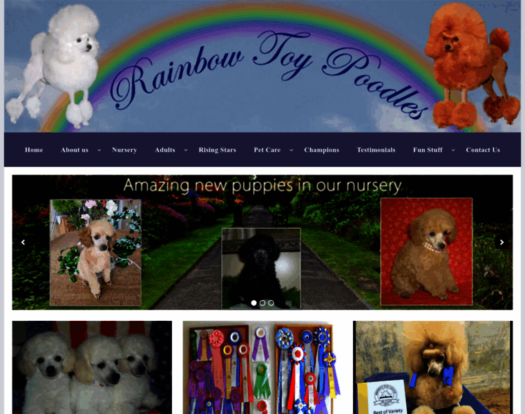 Rainbowtoypoodles.com thumbnail