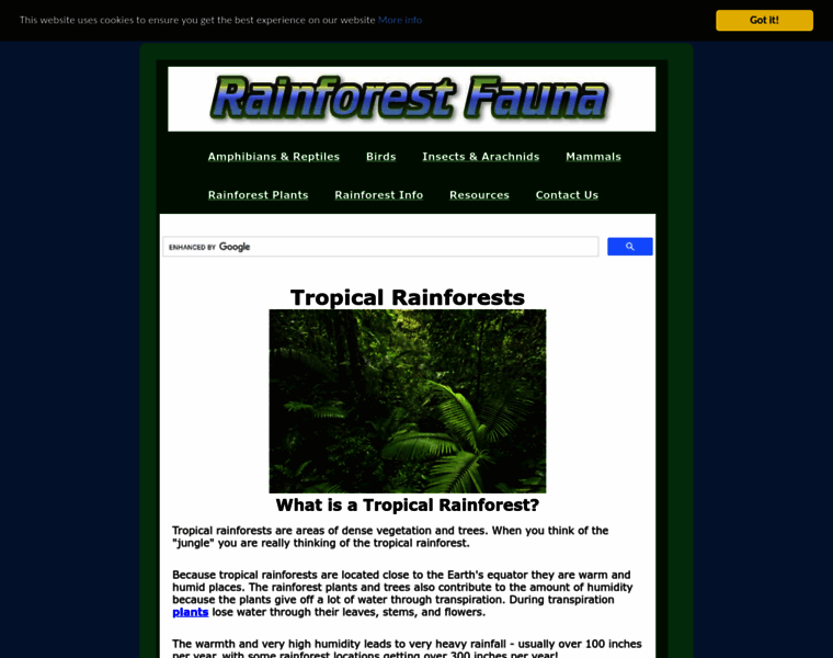 Rainforestfauna.com thumbnail