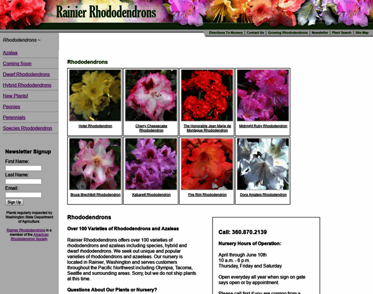Rainierrhododendrons.com thumbnail