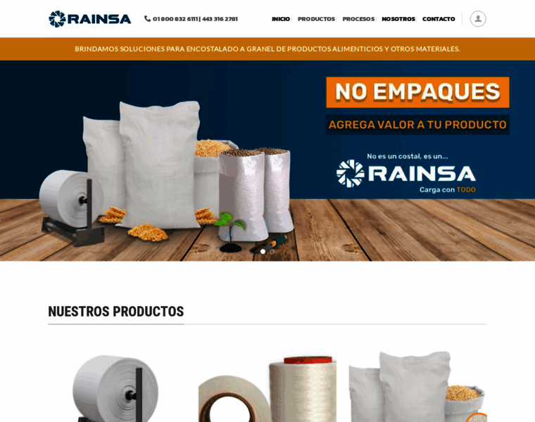 Rainsa.com.mx thumbnail