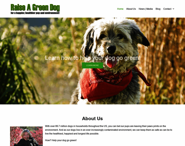 Raiseagreendog.com thumbnail