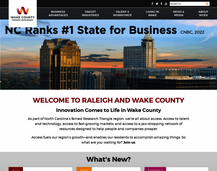 Raleigh-wake.org thumbnail