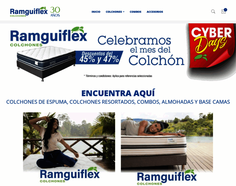 Ramguiflex.com thumbnail