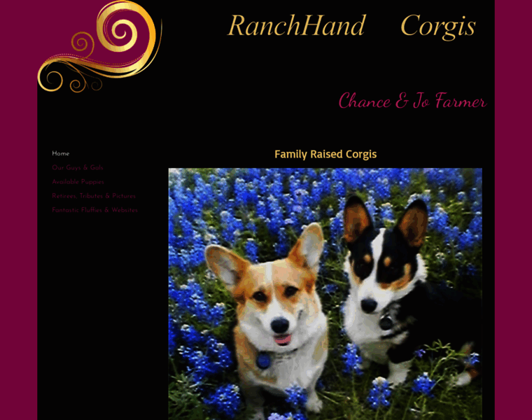 Ranchhandcorgis.com thumbnail