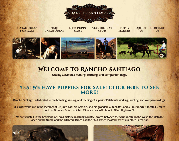 Ranchosantiago.com thumbnail