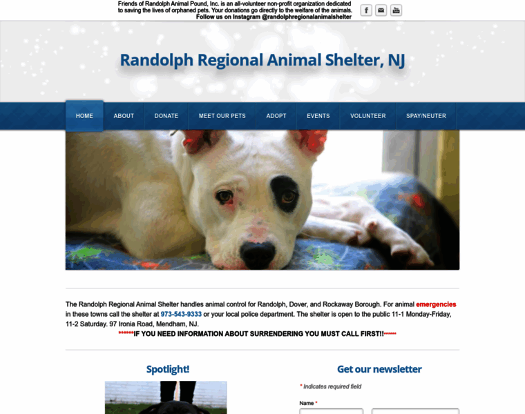 Randolphregionalanimalshelter.org thumbnail