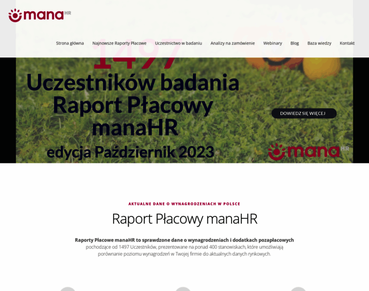 Raportplacowy.pl thumbnail
