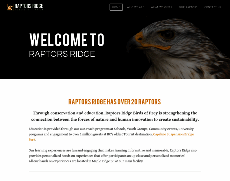 Raptorsridge.com thumbnail