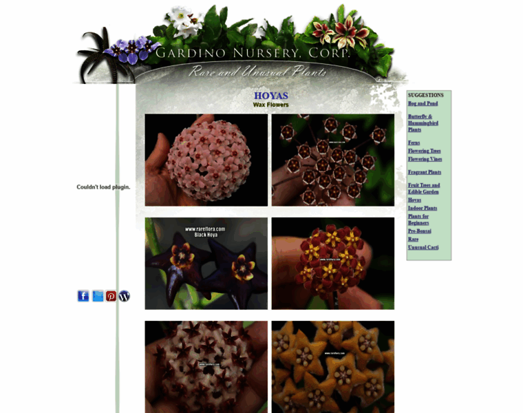 Rareflora.com thumbnail