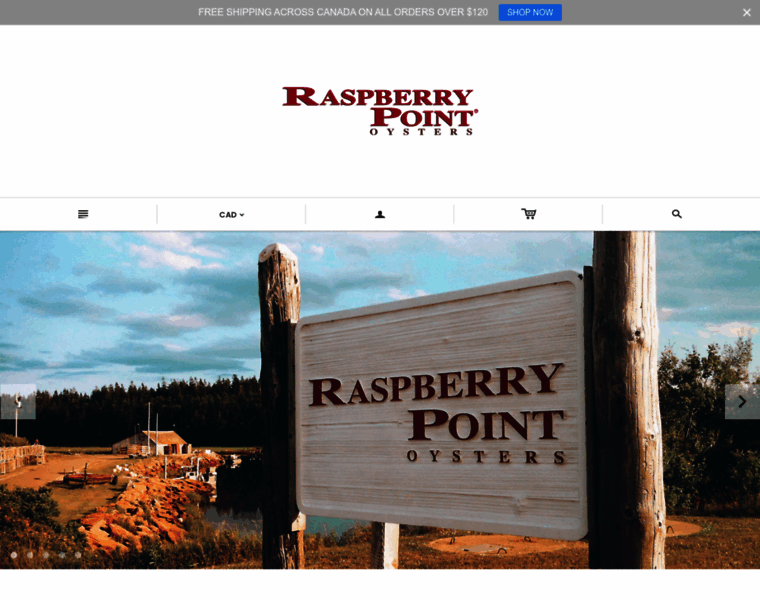 Raspberrypoint.com thumbnail