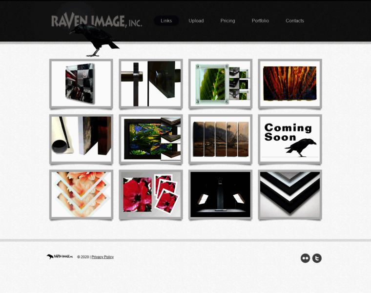 Ravenimageinc.com thumbnail