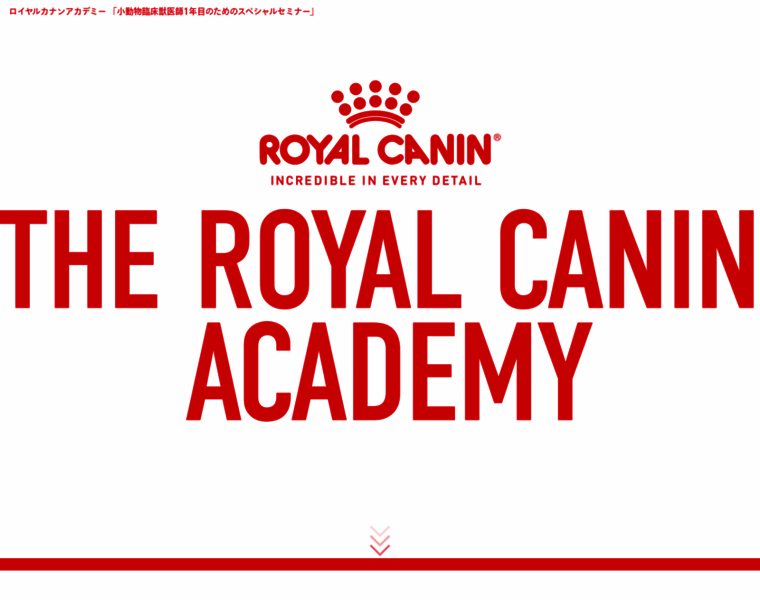 Rc-academy.com thumbnail