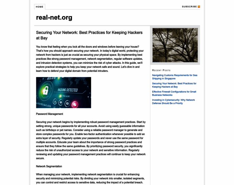 Real-net.org thumbnail
