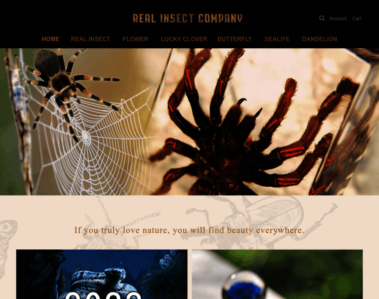 Realinsect.com thumbnail