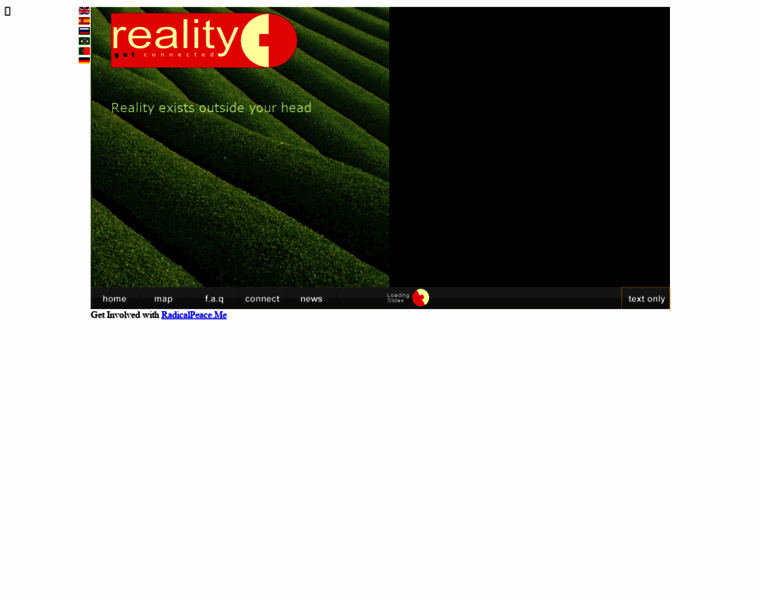 Realityinfo.org thumbnail