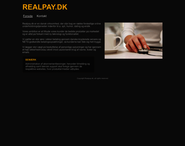 Realpay.dk thumbnail
