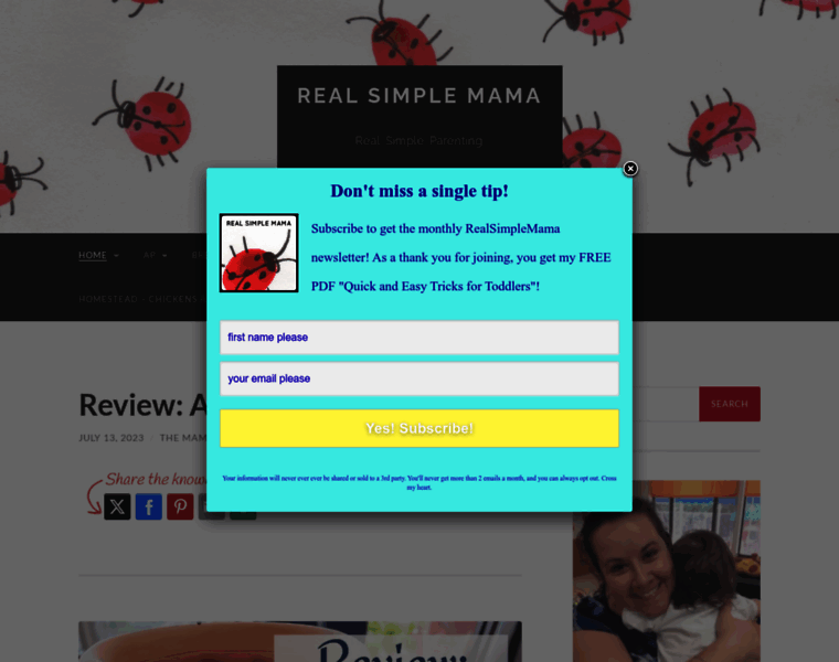 Realsimplemama.com thumbnail