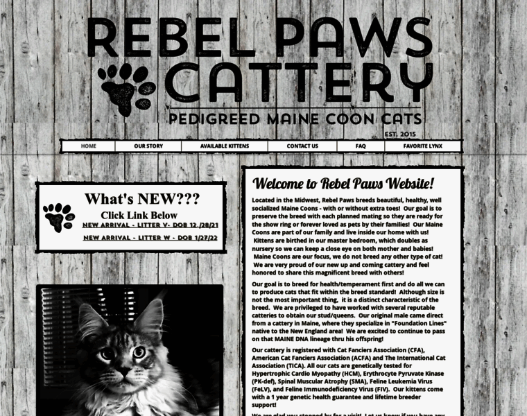 Rebelpawscattery.com thumbnail