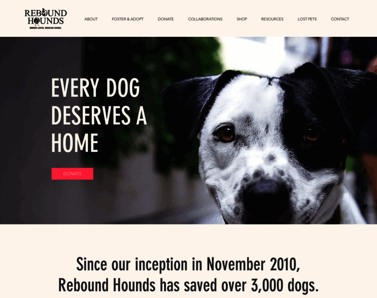 Reboundhounds.org thumbnail