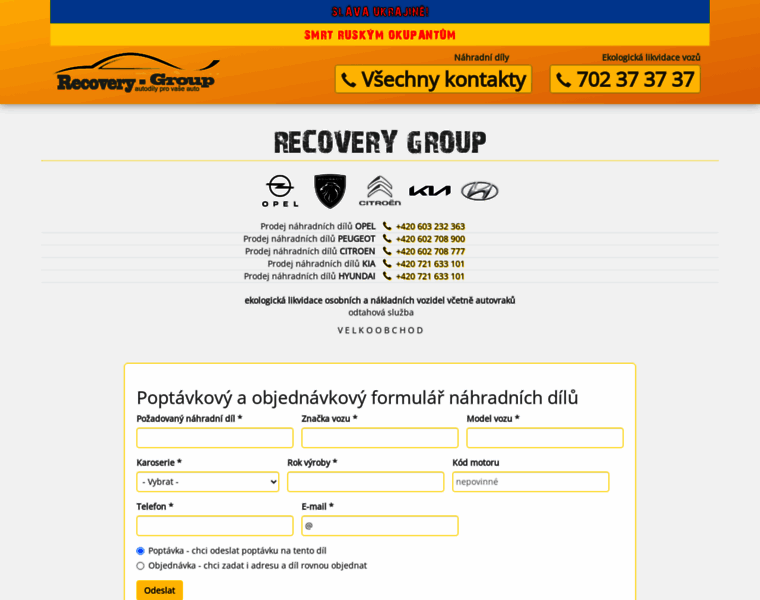 Recoverygroup.cz thumbnail