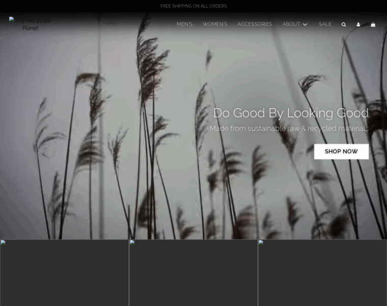 Recycledplanetstore.com thumbnail