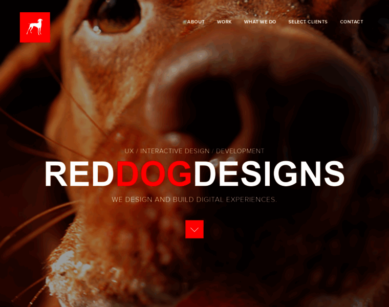 Reddogdesigns.ca thumbnail