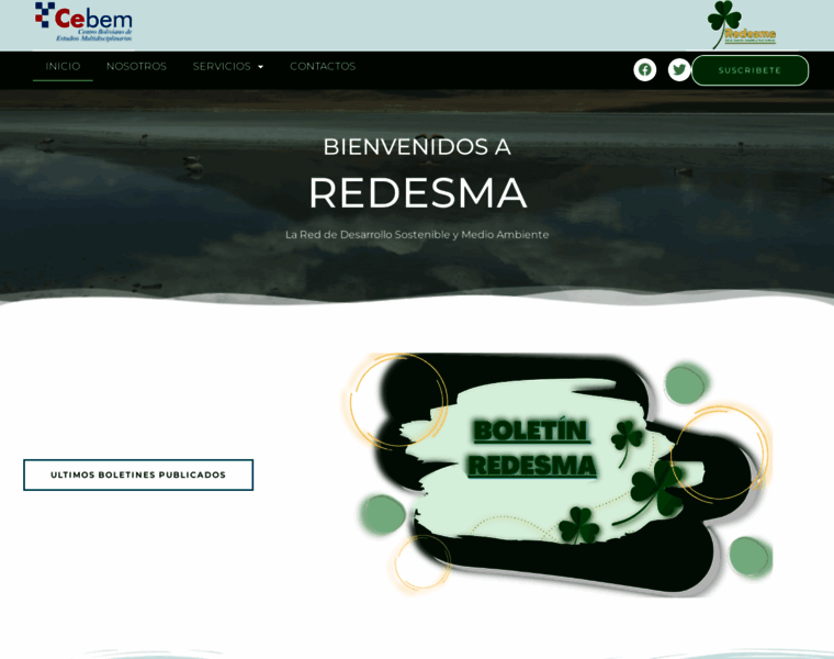 Redesma.org thumbnail