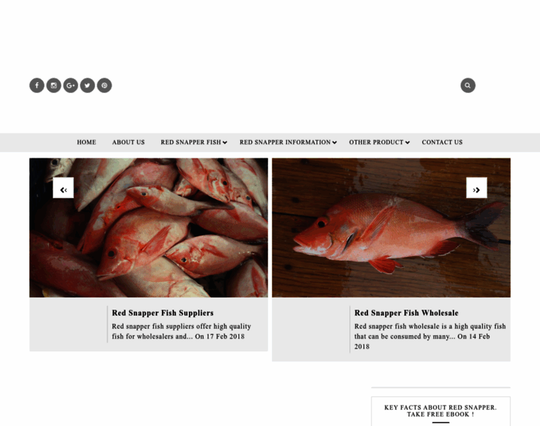 Redsnapperfish.com thumbnail