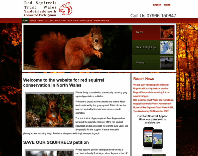 Redsquirrels.info thumbnail