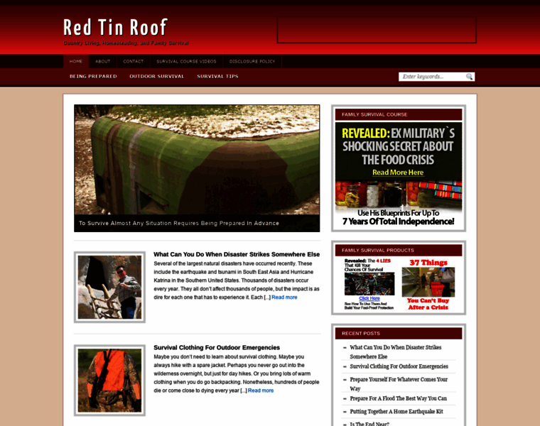 Redtinroof.com thumbnail